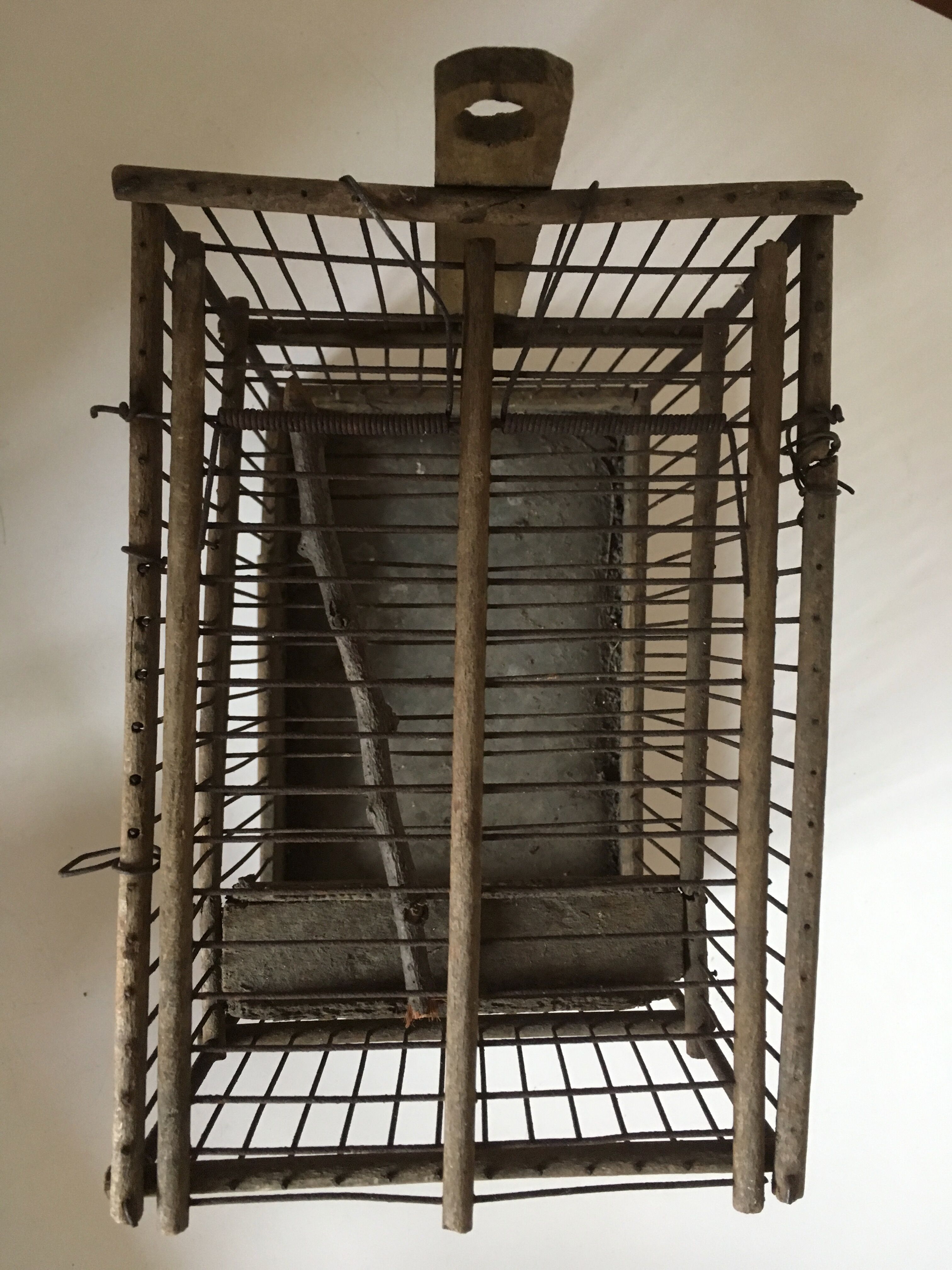 Garden bird cage 19th in zinc and wood