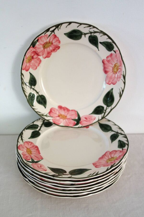 8 Assiettes à dessert Villeroy & Boch ''Wild Rose'', 1970