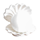 Shell lamp