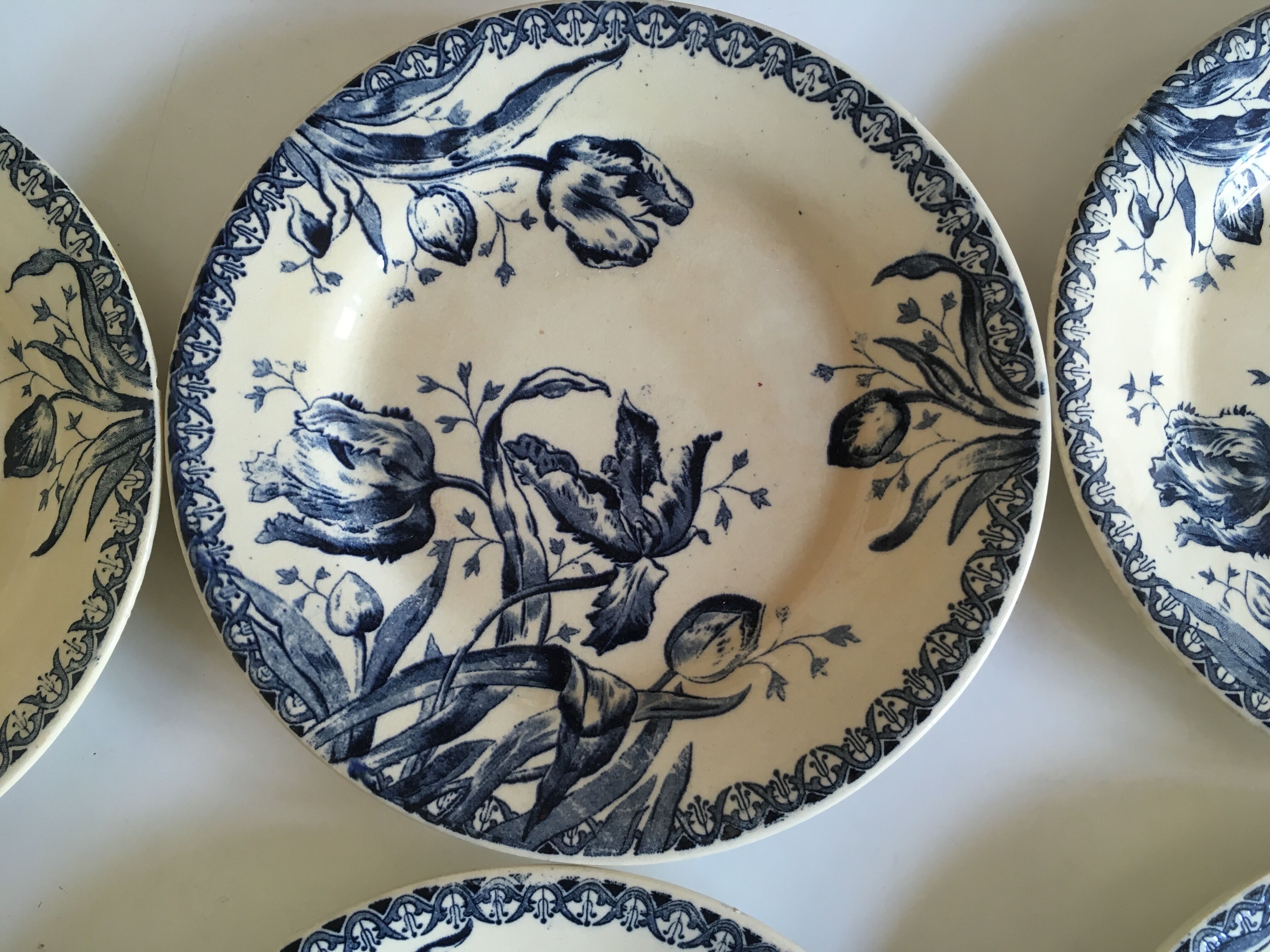 Set of 6 flat Tulips earthenware plates of Gien of the nineteenth century
