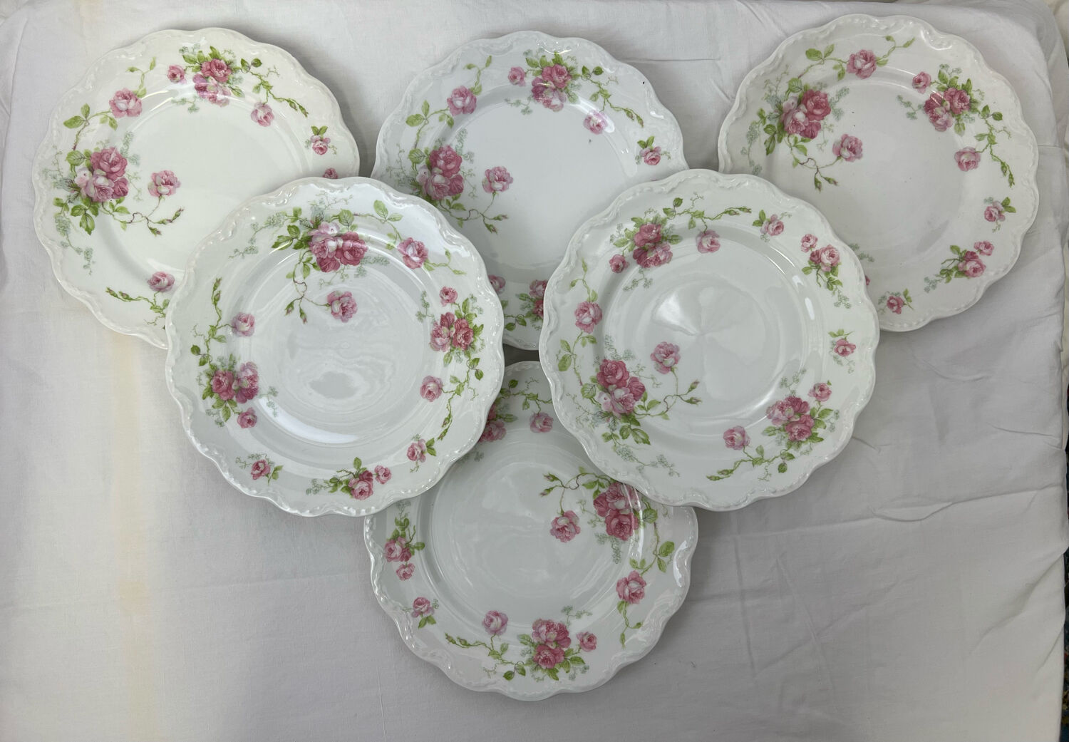 6 flat plates porcelain Limoges shabby flowers