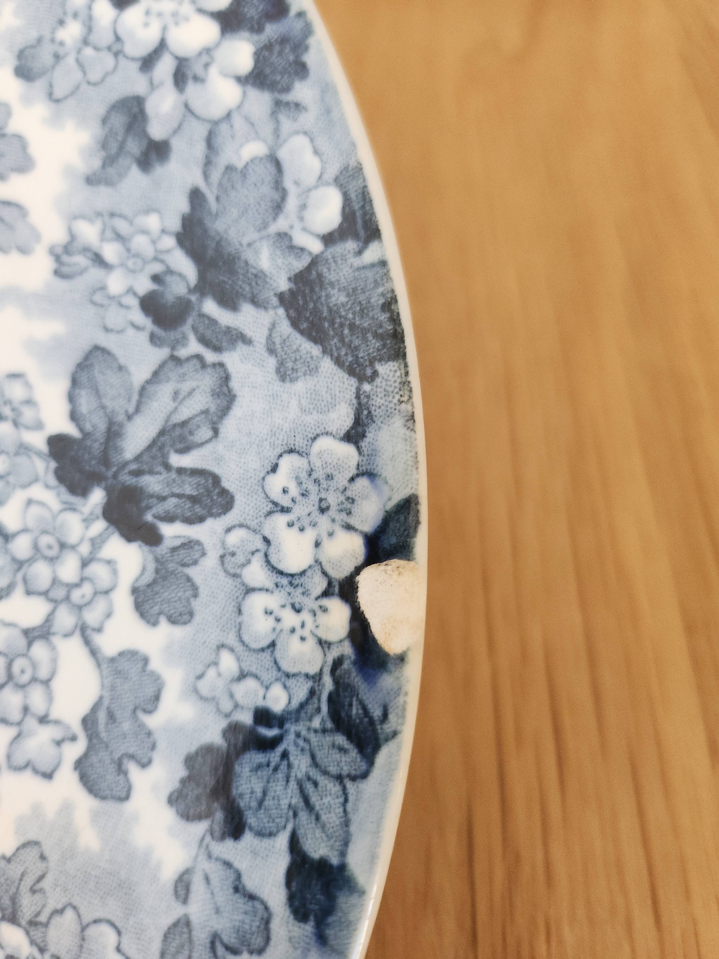 Pair of antique asparagus plates "Récamier" in Terre de Fer, Sarregue
