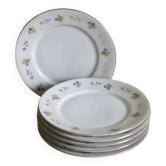 6 assiettes en porcelaine Bavaria fleurs et dorure