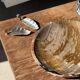 Ashtray, circular dish or plate in grey-orange petrified wood D25.5