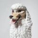 Caniche en céramique, Italie années 60