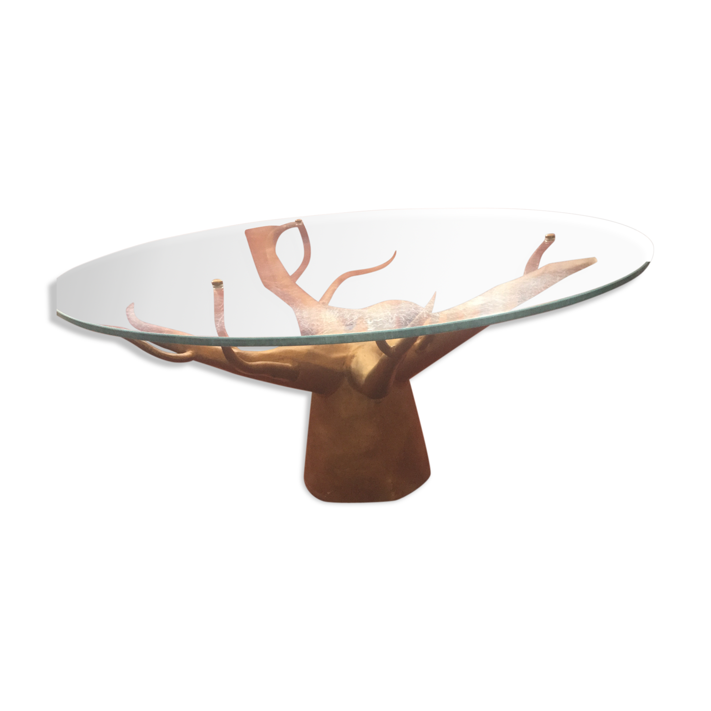 Coffee table glass foot baobab