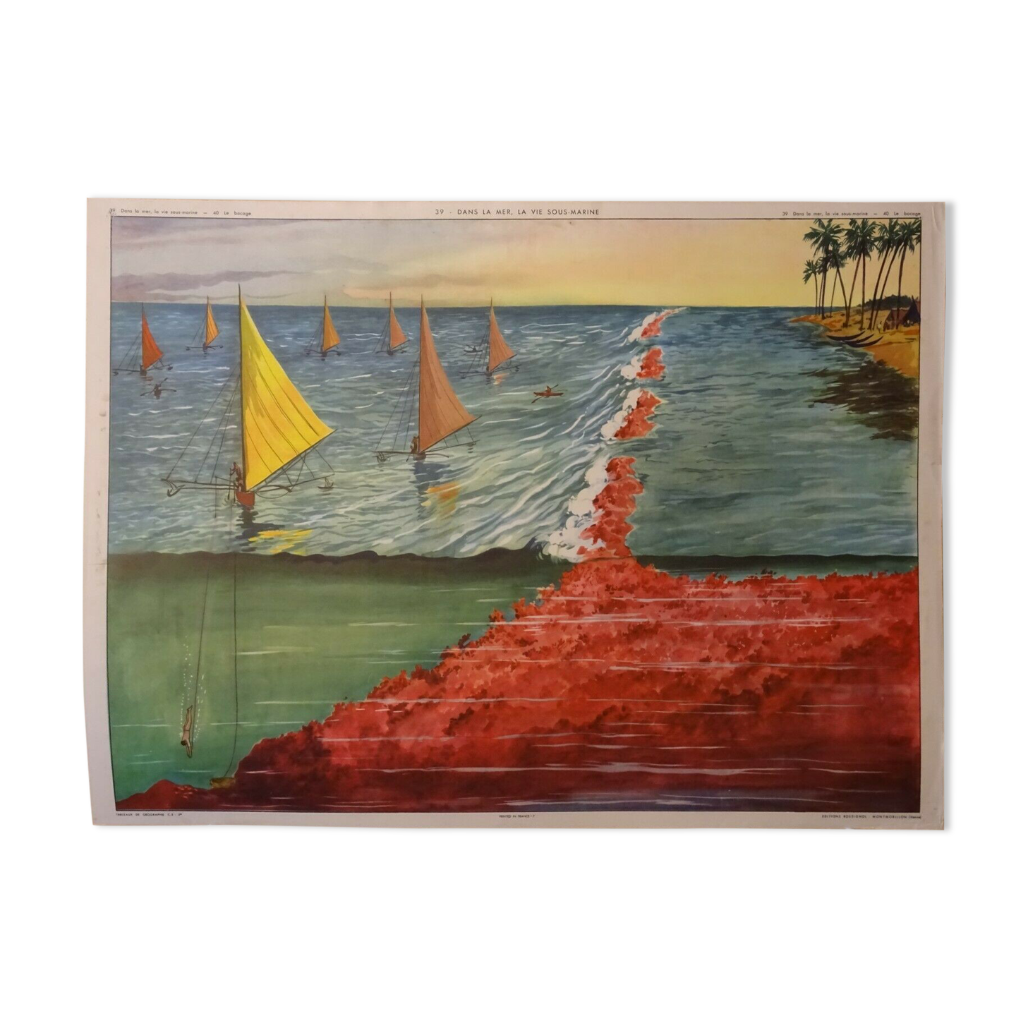 Rossignol school poster in the sea underwater life / the bocage