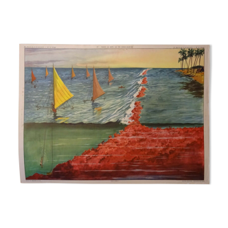 Rossignol school poster in the sea underwater life / the bocage