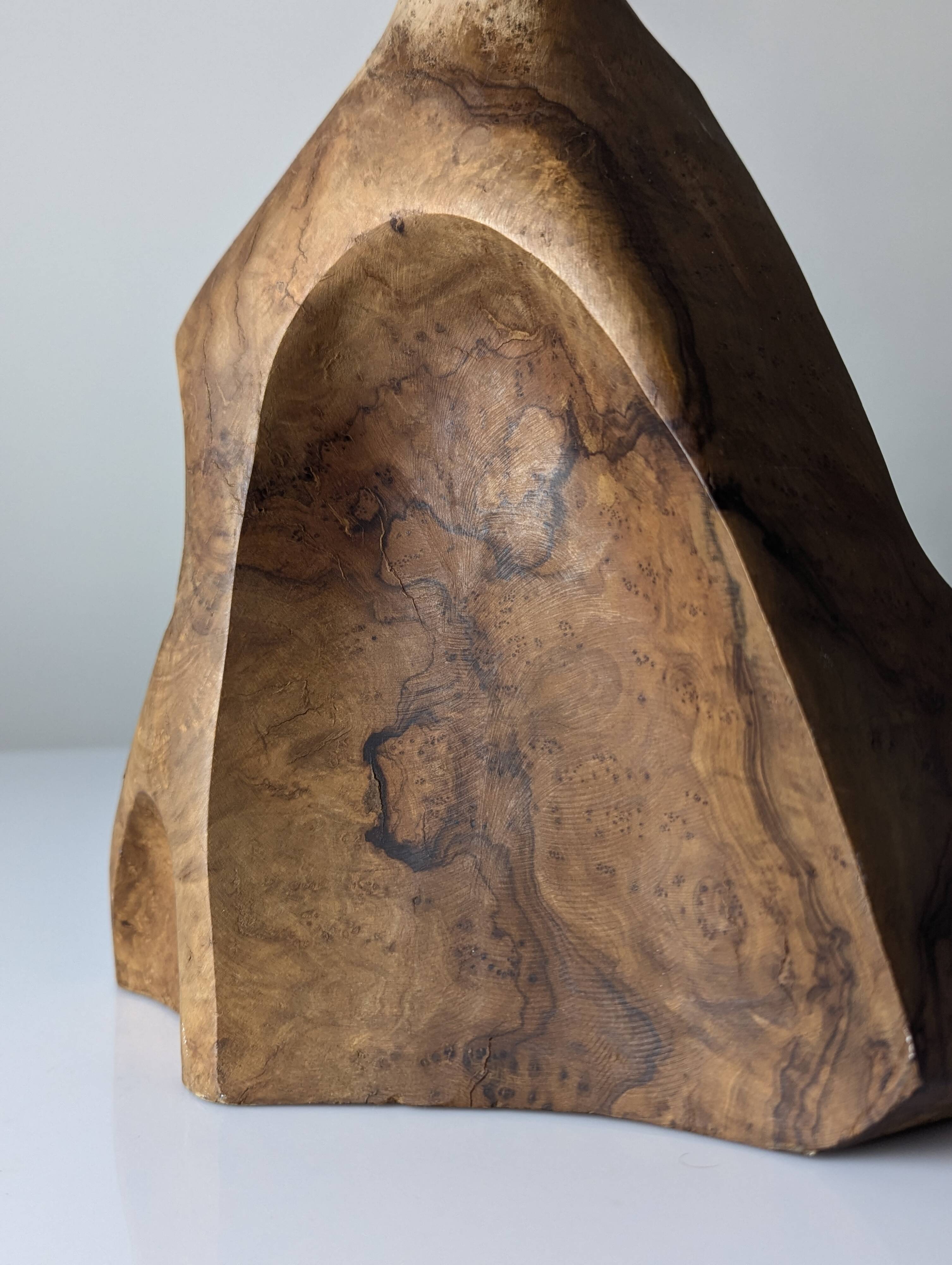 Sculptural table lamp in carved olive wood, organic modern 1970s
