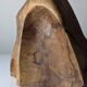 Sculptural table lamp in carved olive wood, organic modern 1970s