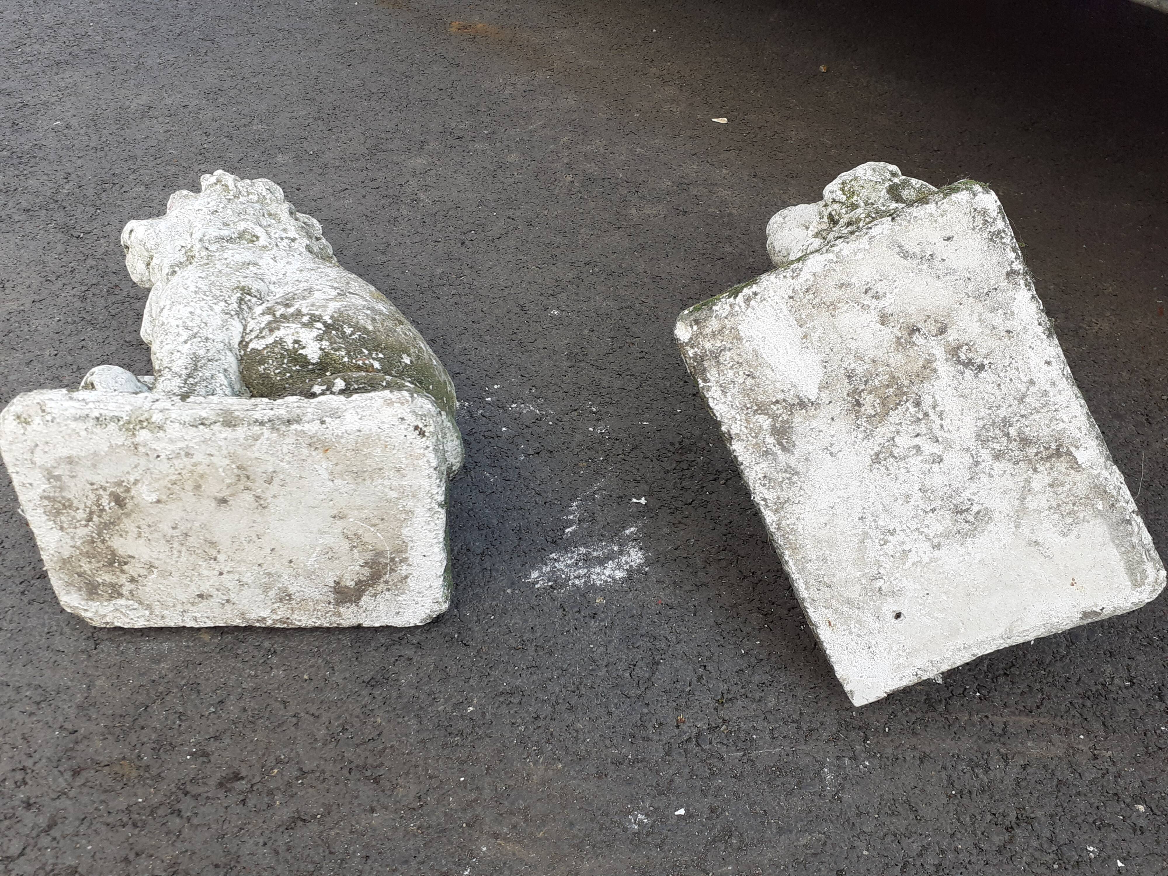 Vintage stone garden lions xxeme