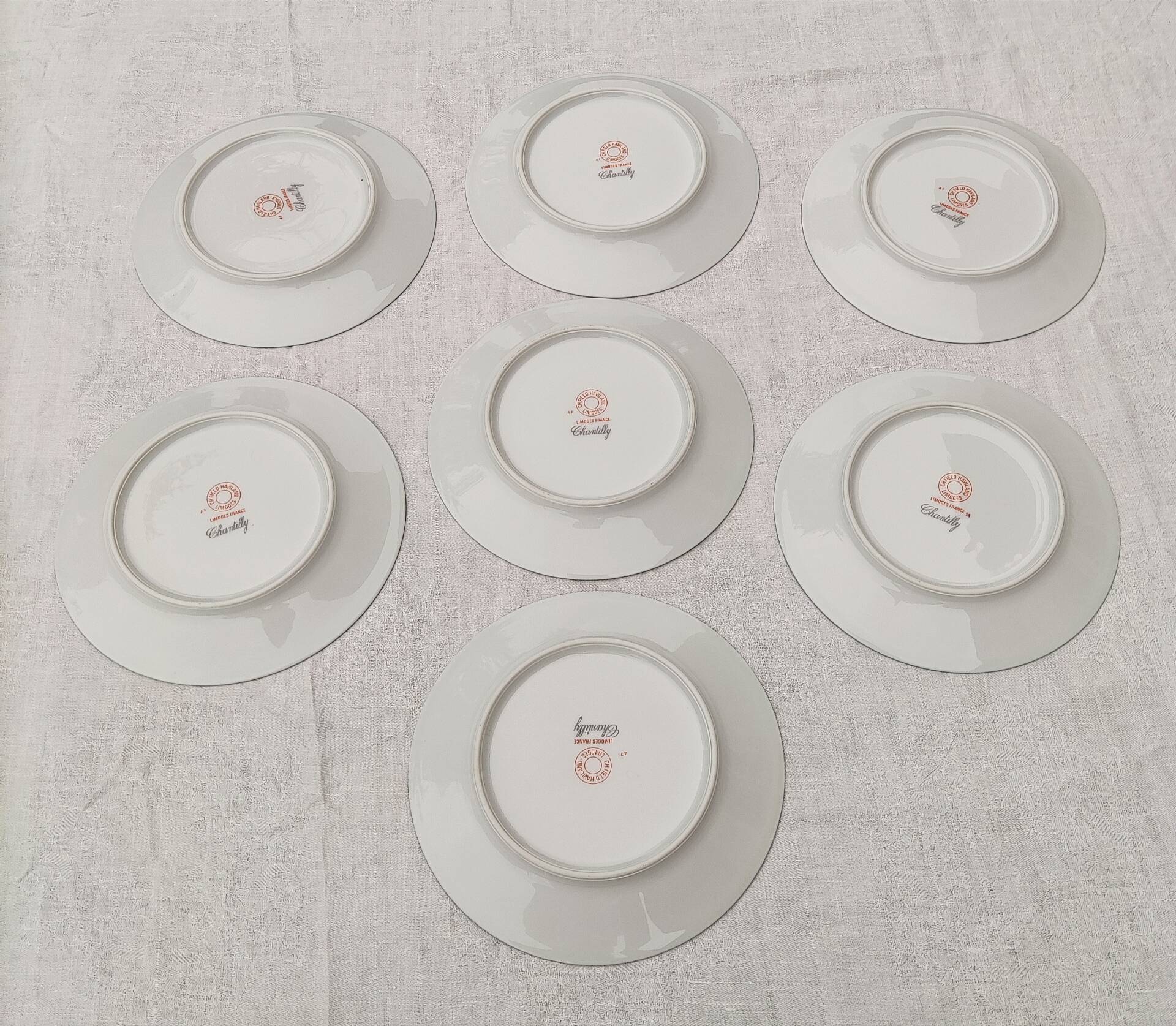 7 porcelain plates from Limoges - Haviland