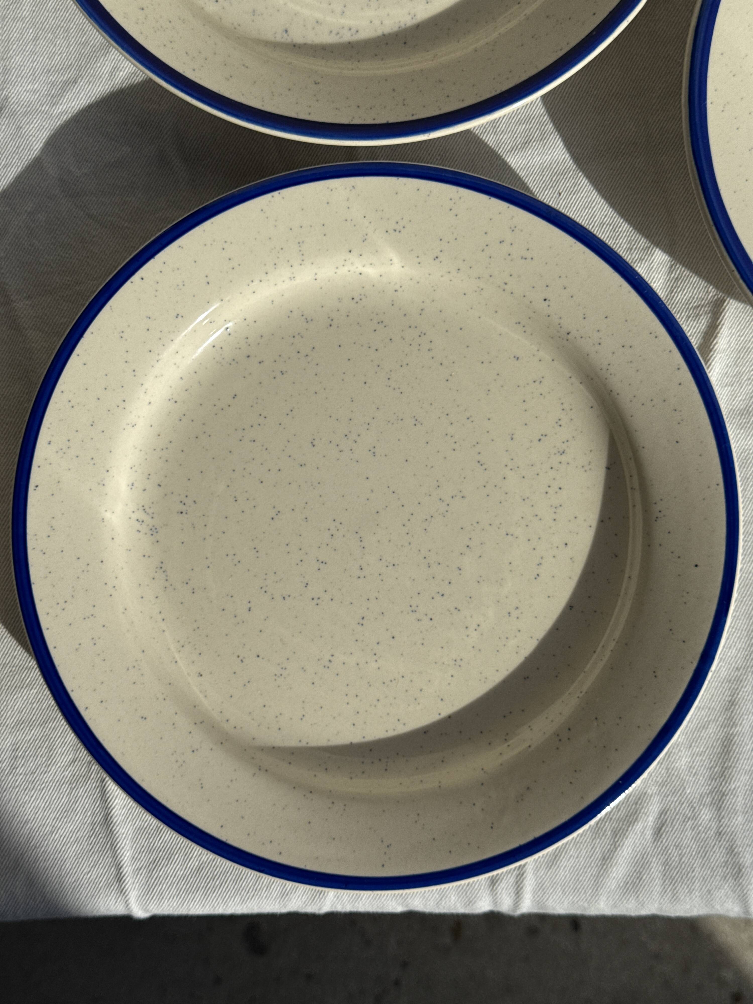 Set consisting of 6 beige flat plates with a blue rim + 3 deep plates.