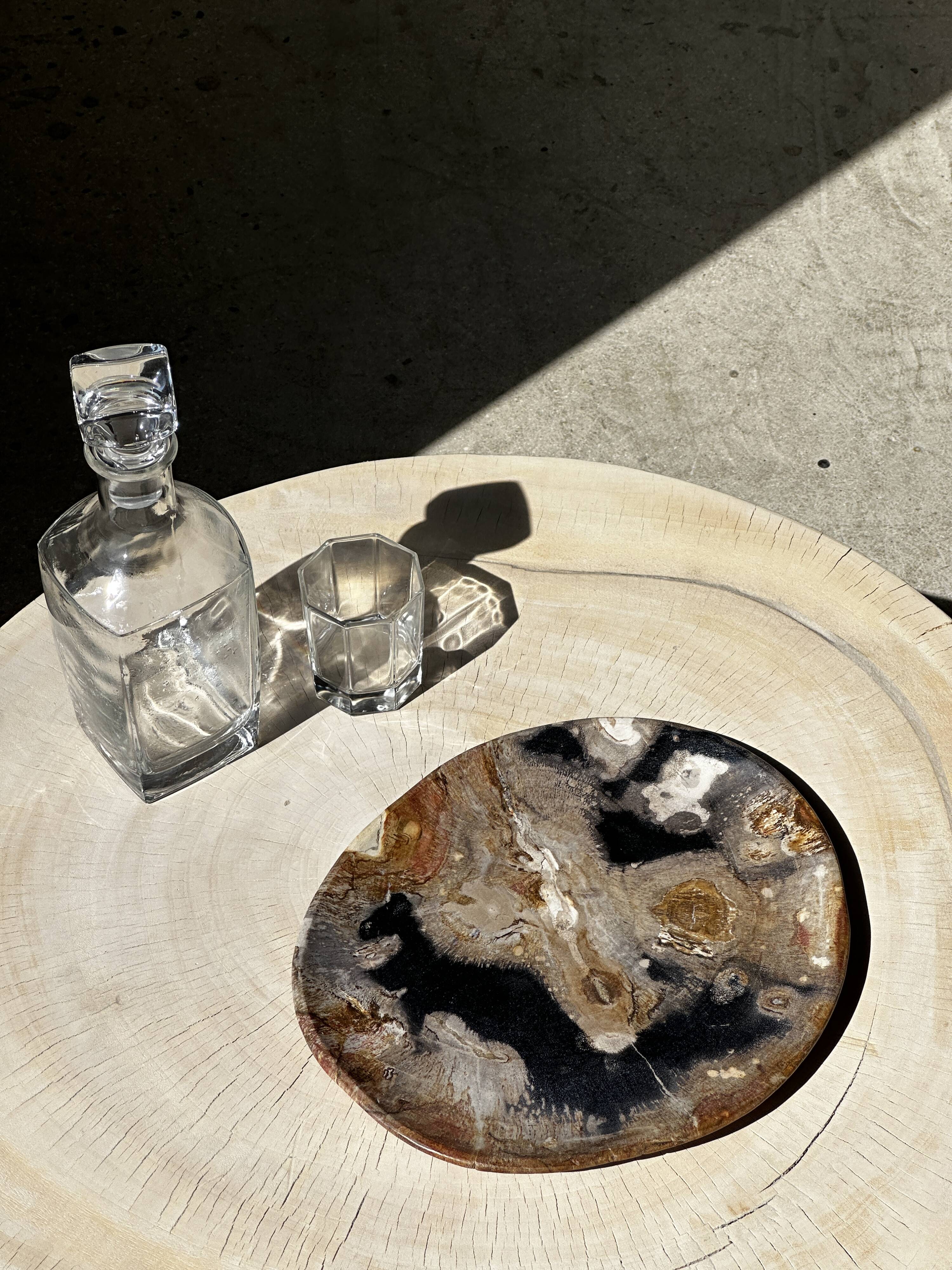 Large empty pocket or dish in petrified wood