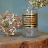 Former pharmacy vintage bottle