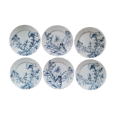 6 plates petunia bfk