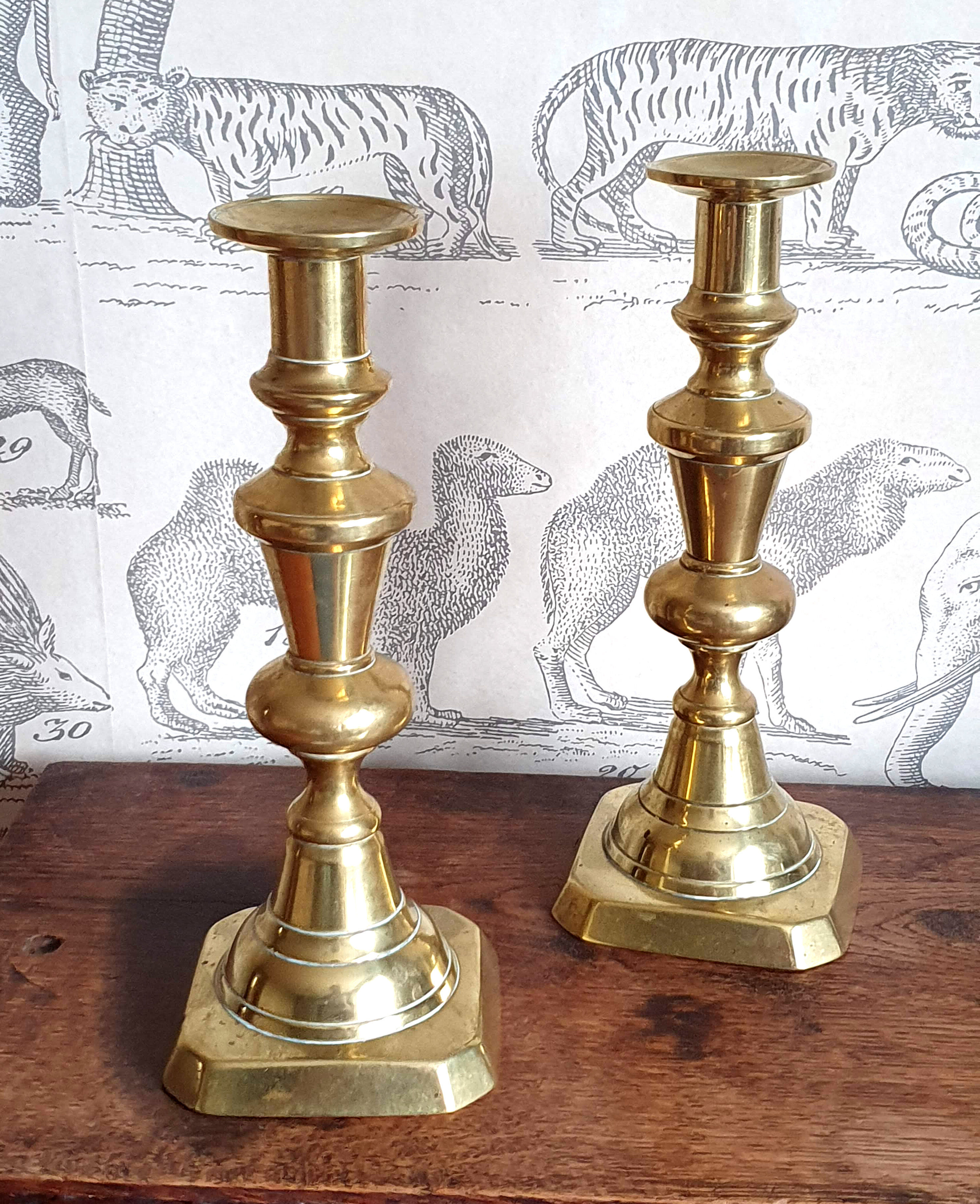 Duo of brass candle holders