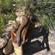 Vintage garden folding chair