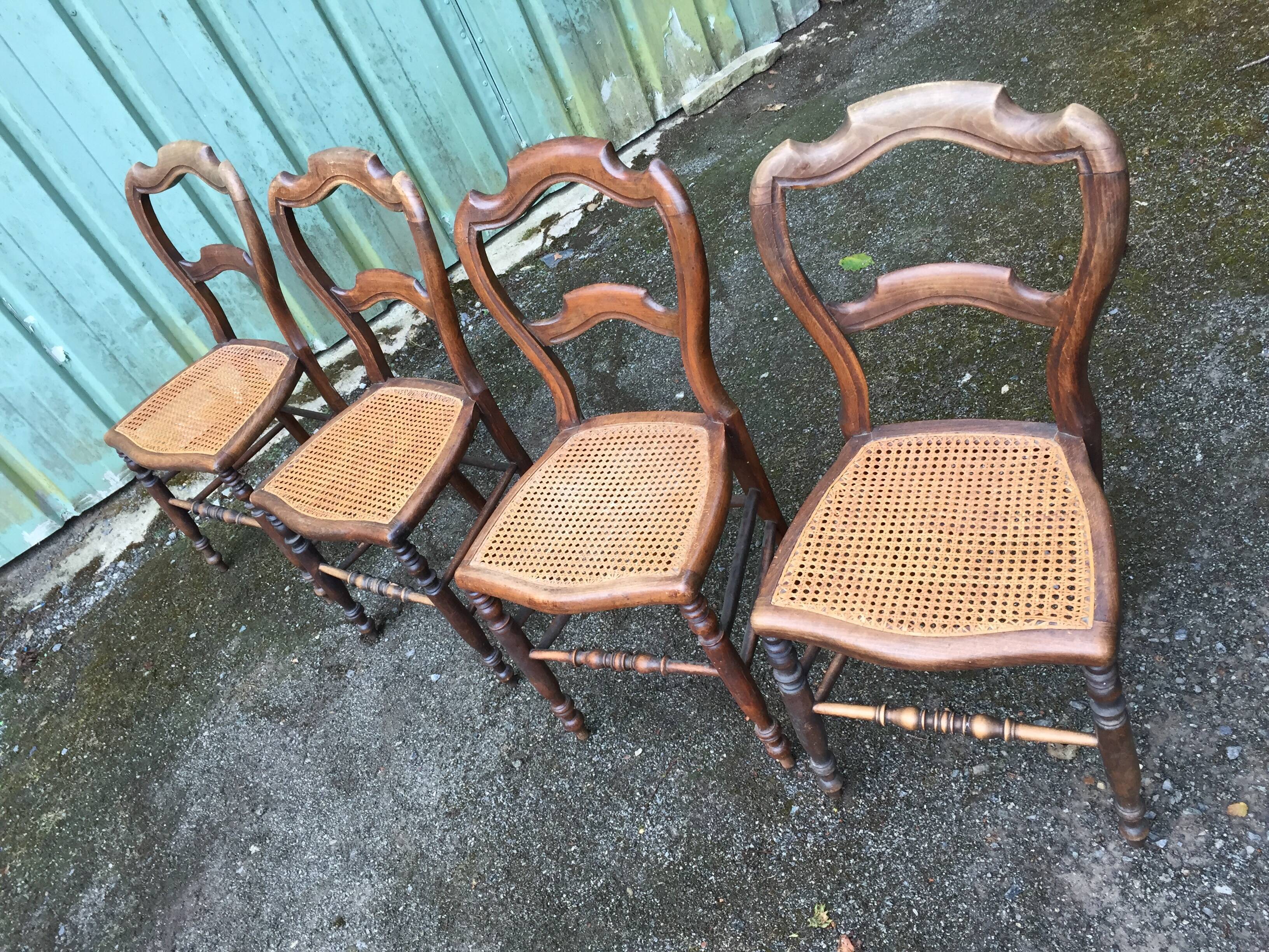 Louis Philippe style beech chairs