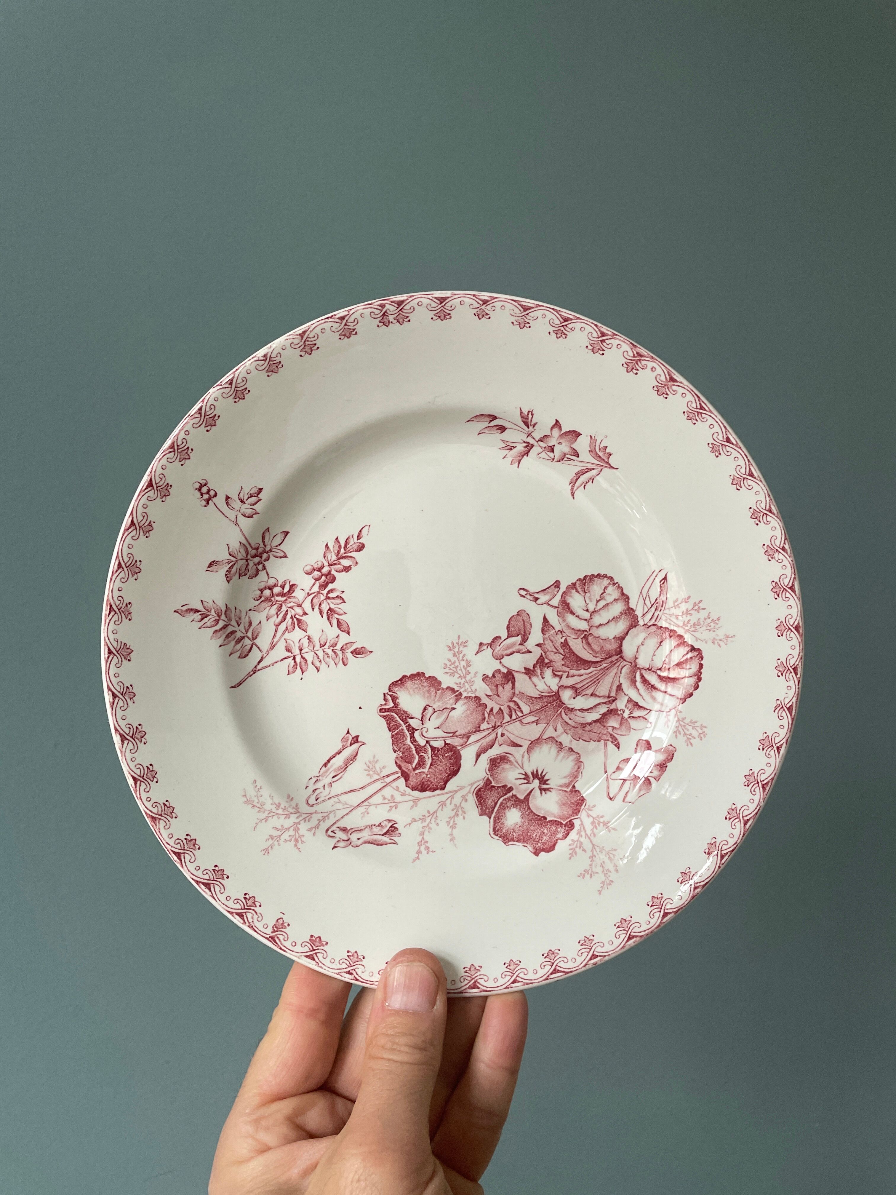 Set of 4 flat plates "Vega" U&C Sarreguemines