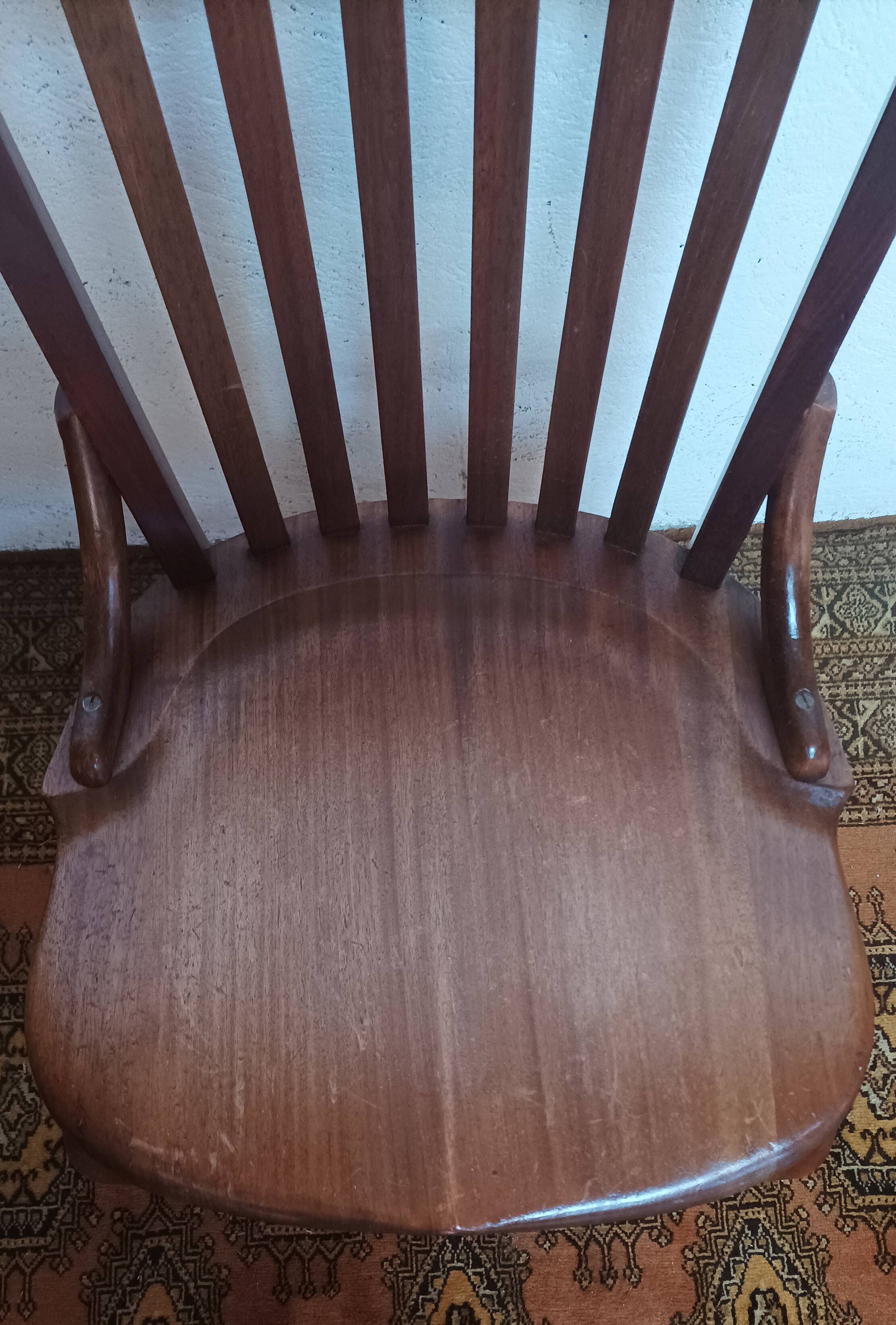 Vintage Cosmos house chair