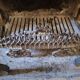 Paire de chenets en fer forgé et laiton avec porte-bûches de cheminée, xixe