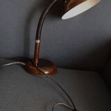 Flexible lamp