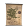 Ancienne planche Deyrolle “La pomme de terre”