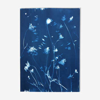 Botanical Cyanotype