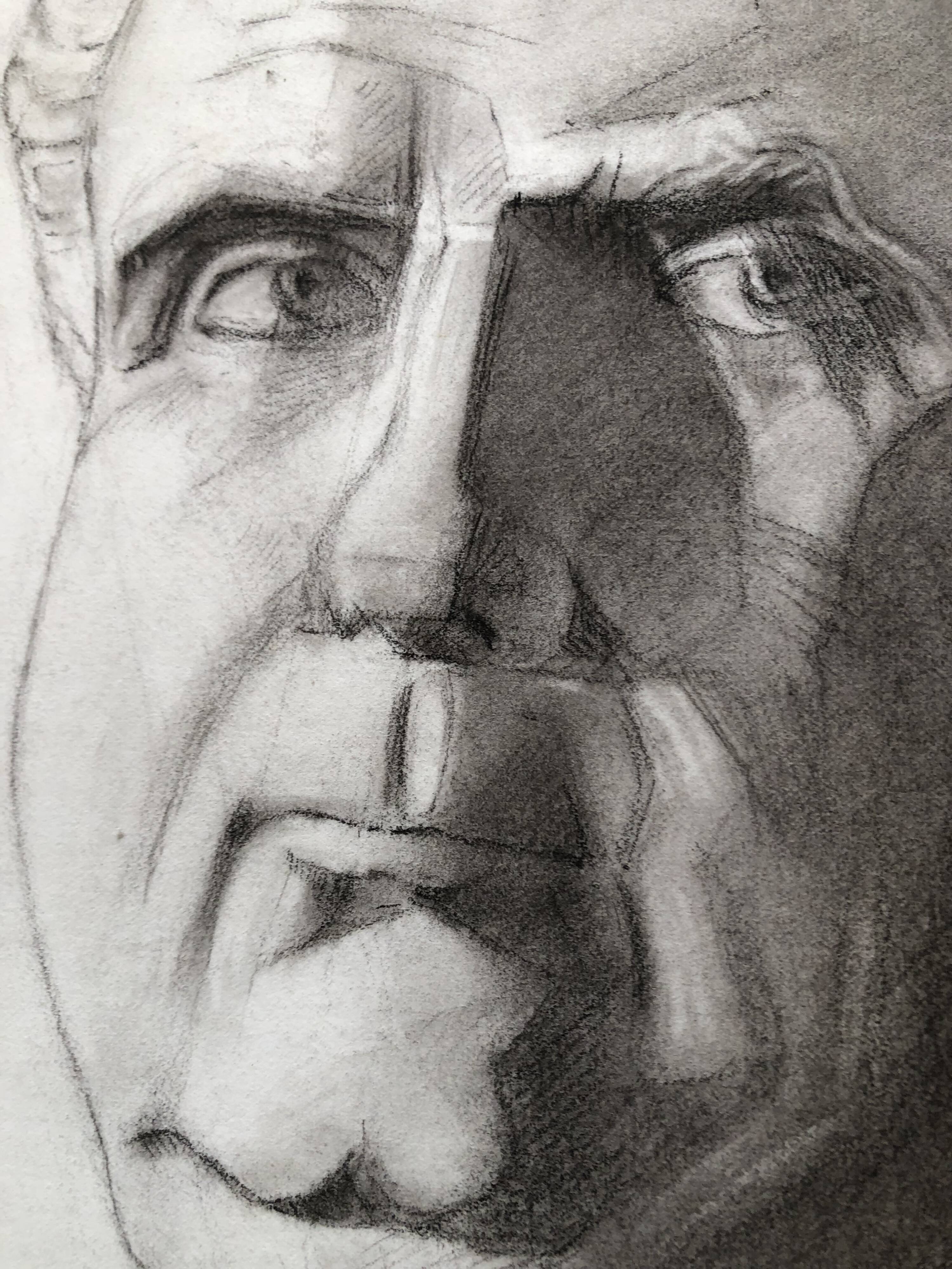 Charcoal drawing: face of roman emperor vitellius, signed w. peloux, antique, fine arts, fabriano