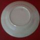 Plate Longchamp Earth model railway scenery parakeets Congo