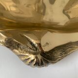 Empty clam pocket