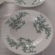 6 hollow plates.model capri manufacture Pexonne