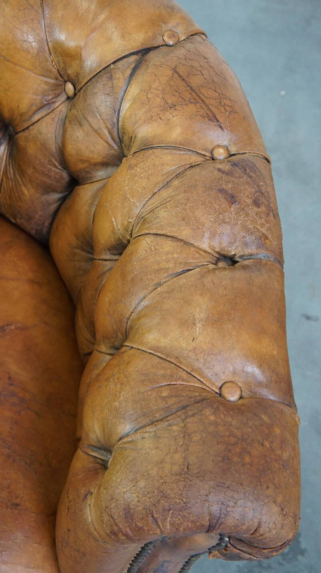 Antique, characteristic sheepskin chesterfield club chair on wheels