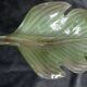 giant painted sheet metal wall lamp Murano glass plant leaf 105 cm