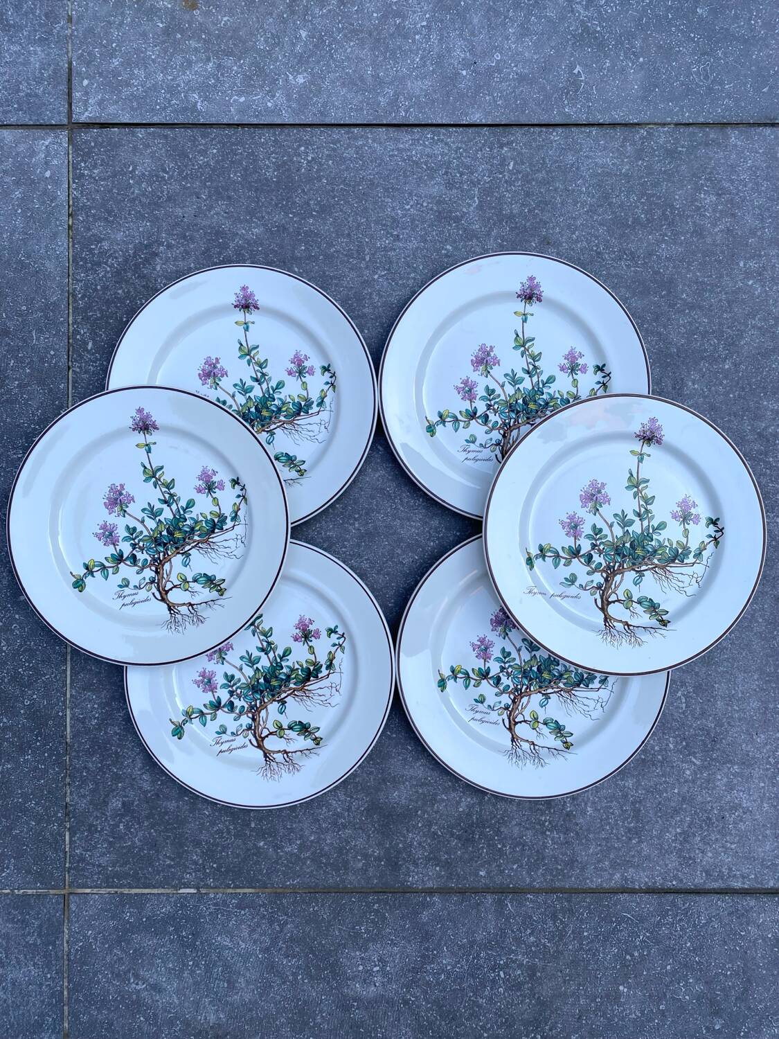 Lot de 6 assiettes à dessert "Thymus" BOCH Botanica
