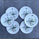 Set of 6 “Thymus” dessert plates BOCH Botanica