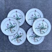 Lot de 6 assiettes à dessert "Thymus" BOCH Botanica