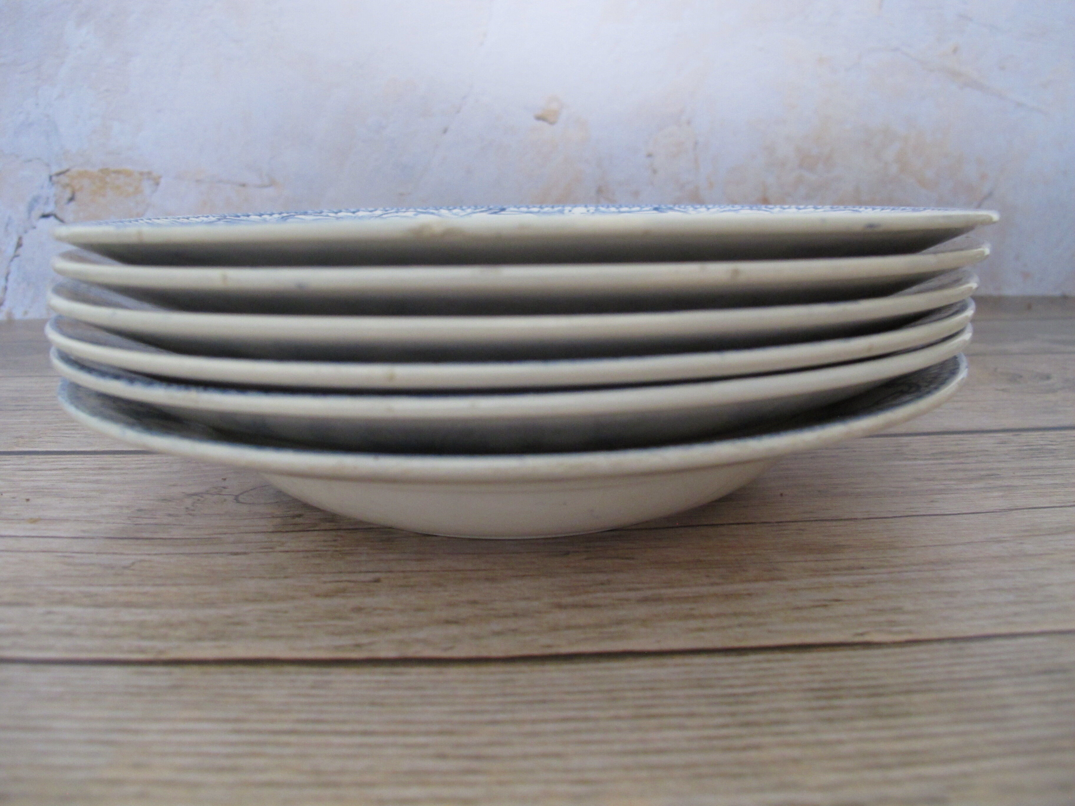 6 hollow plates in iron earth from Digoin Sarreguemines.