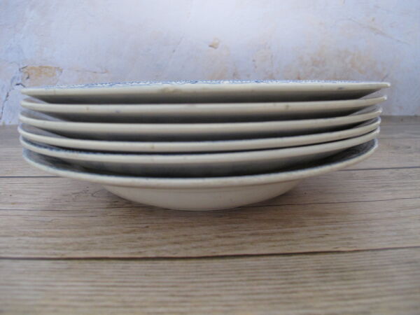 6 assiettes creuses en terre de fer de Digoin Sarreguemines.