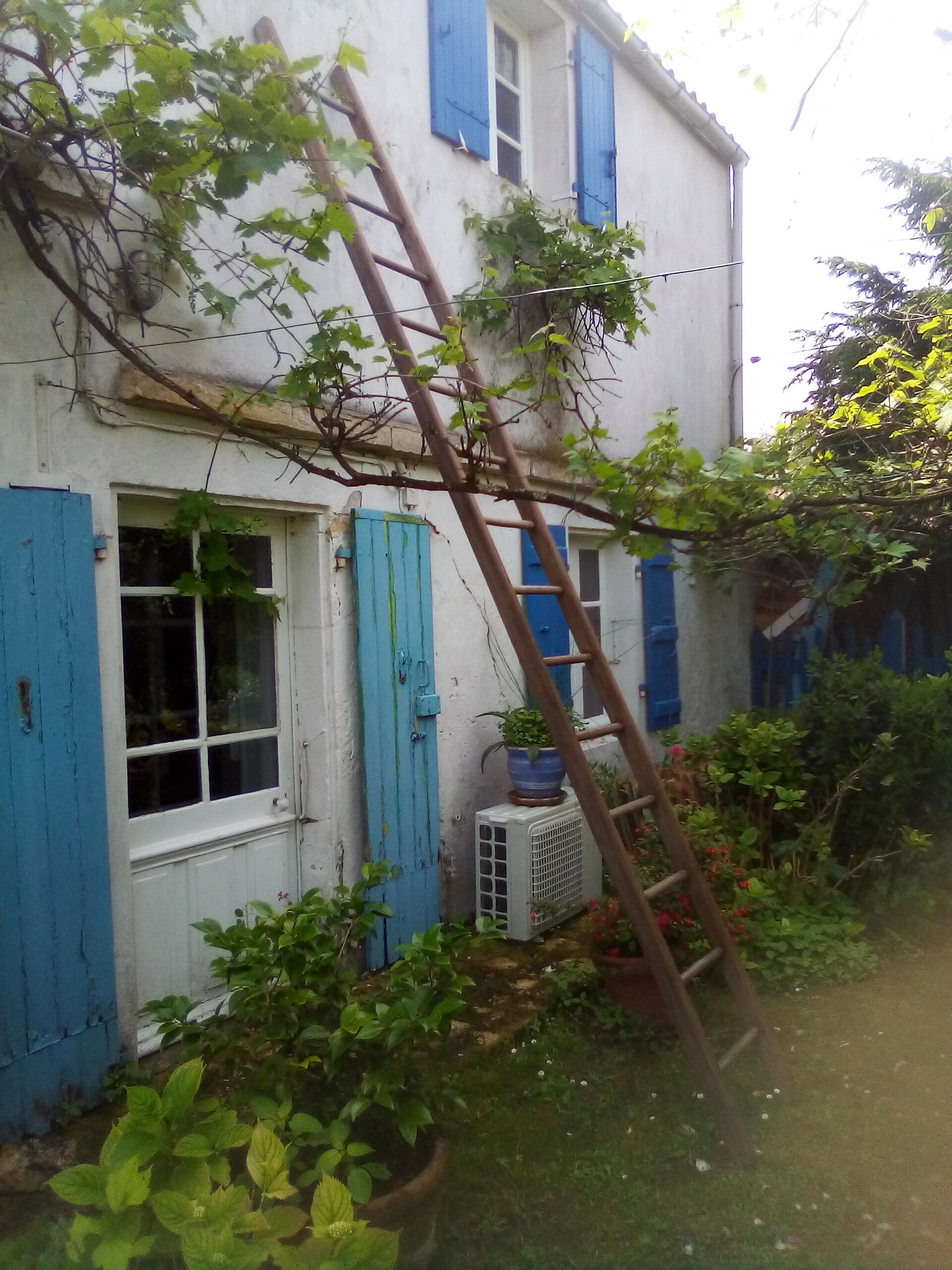 Old wood scale 4 meters