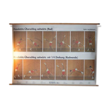 "Sports" published by Paul Sappl Austria 1968 poster