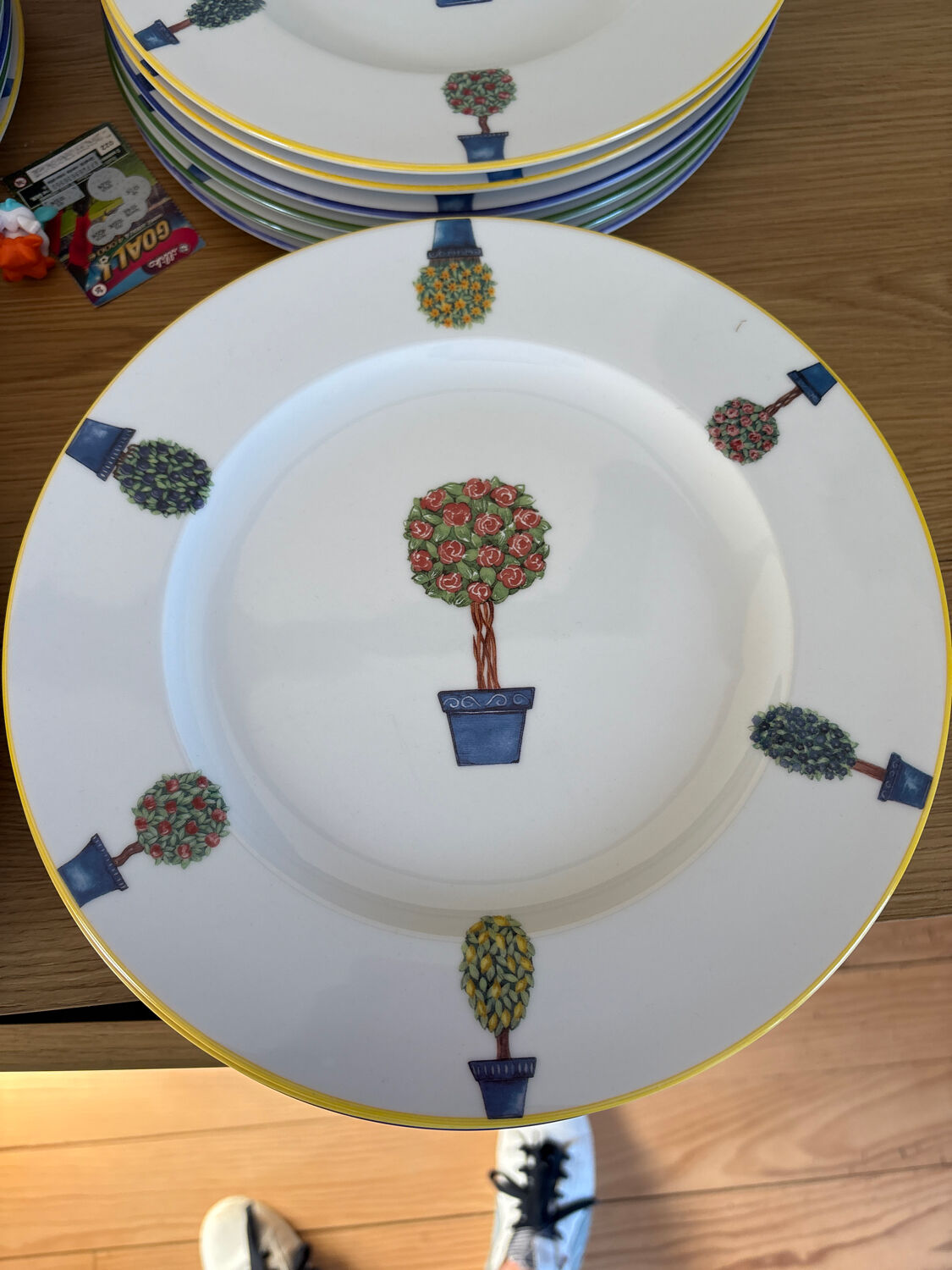 27 cm porcelain dinner plates