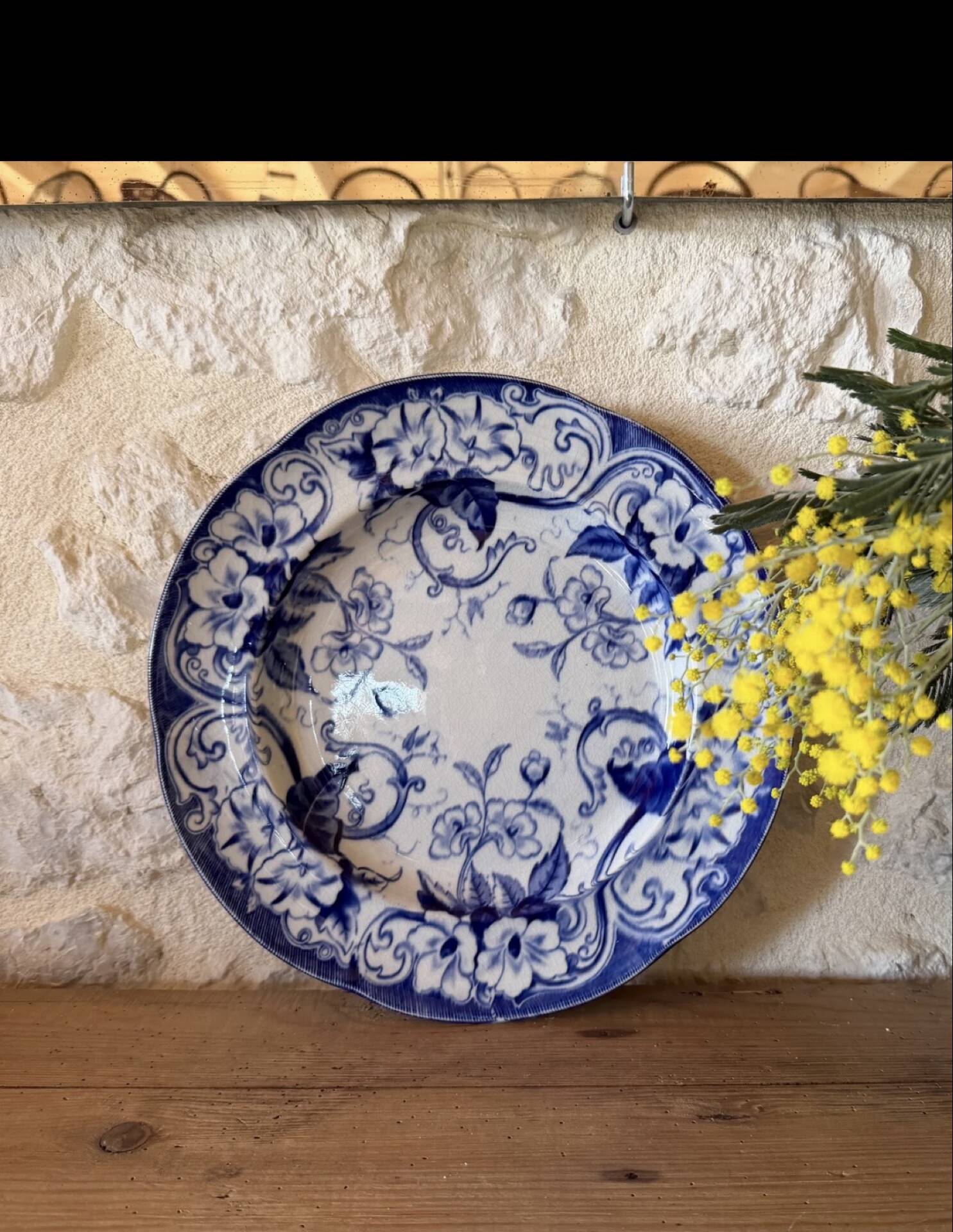 Plate Creil and Montereau in ironstone, Flora model.