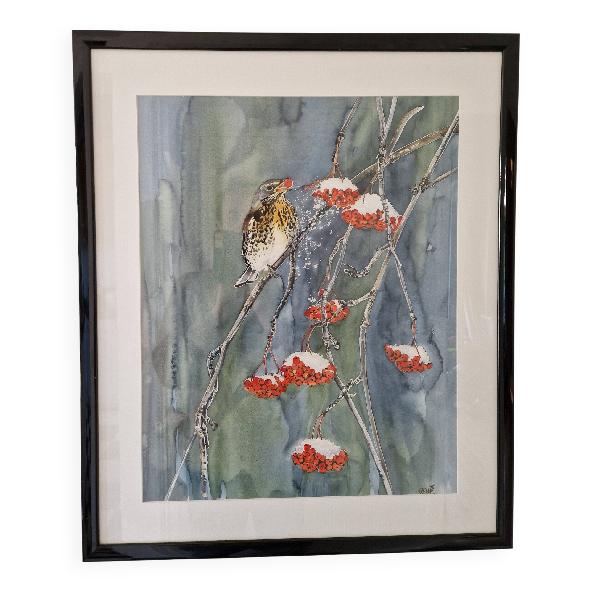 Original framed watercolor bird on snowy rowan tree