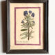 Botanical plate under glass