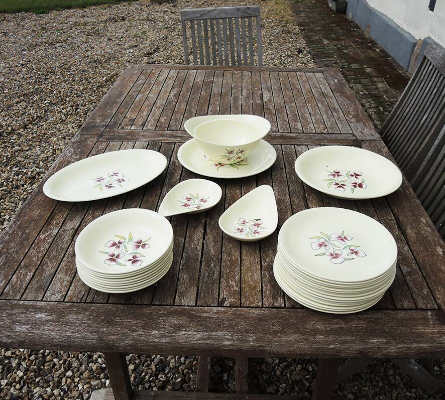 Antique Salins Dinnerware Set - Edith 30 Pieces