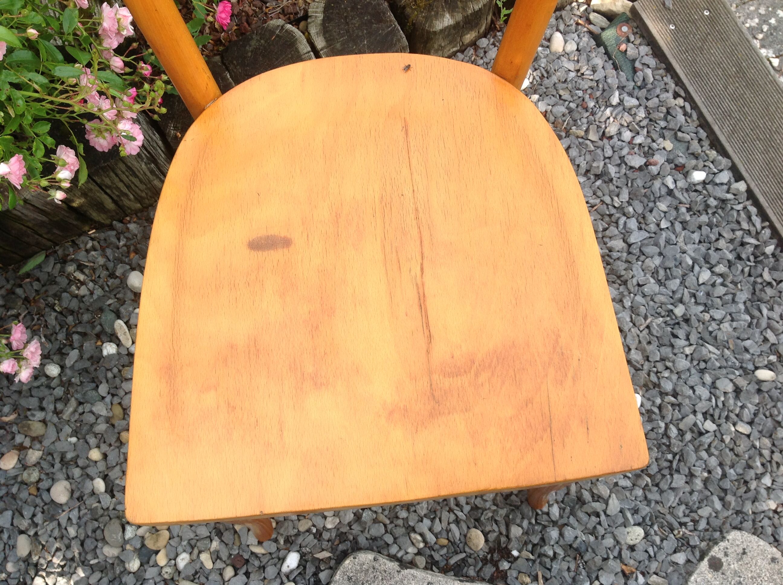 Suite of five bistro chairs feet with hoops / vintage 50s-60s