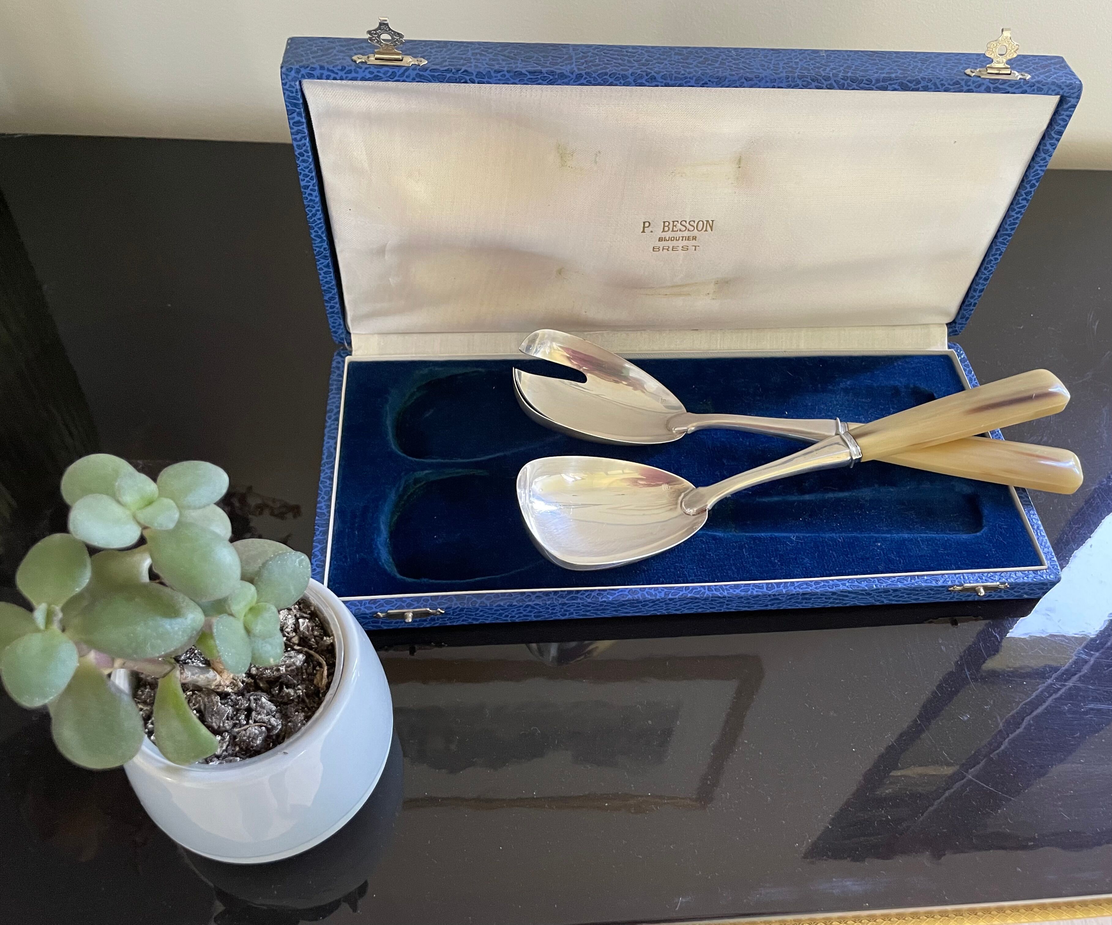 Cutlery to serve silver metal and horn