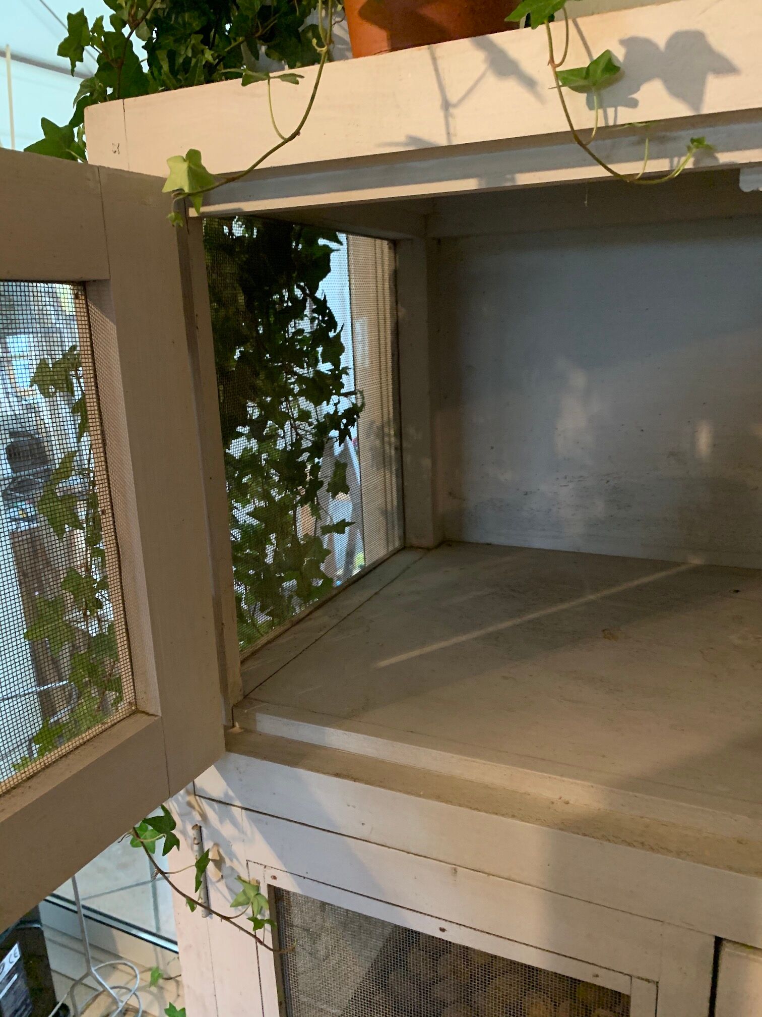 Wardrobe keeps eating